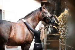 Shipping Halter Faux Fur - Black -Horse Riding - Harness 42502 01 1