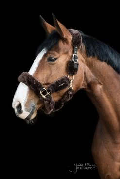 Shipping Halter Faux Fur - Brown/full -Horse Riding - Harness 42502 05 1