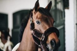 Shipping Halter Faux Fur - Brown/full -Horse Riding - Harness 42502 05 2