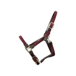 Braided Nylon Halter - Bordeaux