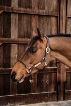 Kentucky Leather Rope Halter - Brown -Horse Riding - Harness 42540 05