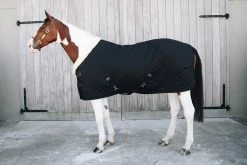 Show Rug 160 Gr - Black