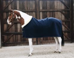 Fleece Show Rug - Navy