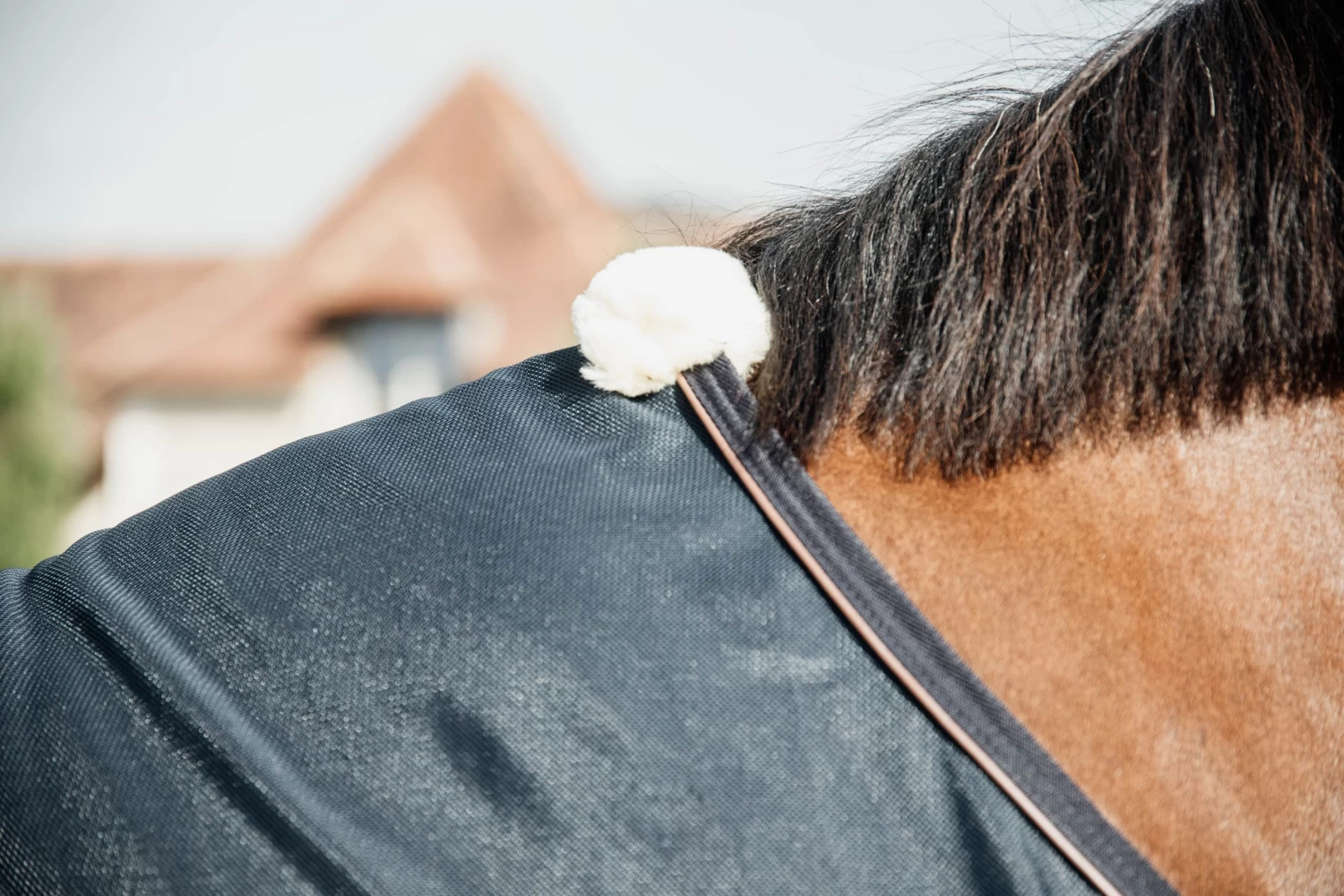 Mesh Fly Sheet - Navy 4 Mesh Fly Sheet - Navy - Image 2