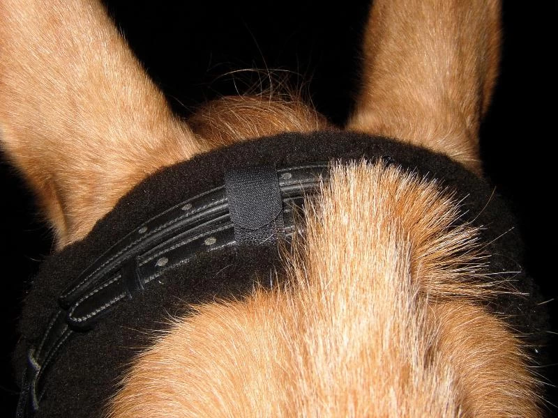 Poll Pad Sheepskin - Graphite 5 Poll Pad Sheepskin - Graphite - Image 3