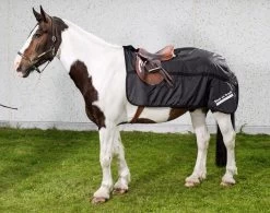 Back On Track Exercise Sheet