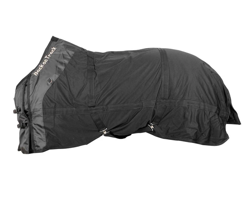 Mesh/underneath Rug 3 Mesh/underneath Rug