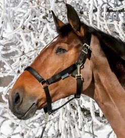 Textile Halter - Black