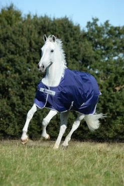 Atlantic Turnout 50 G - Navy