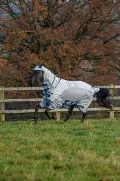 Sweet-Itch Rug X Light