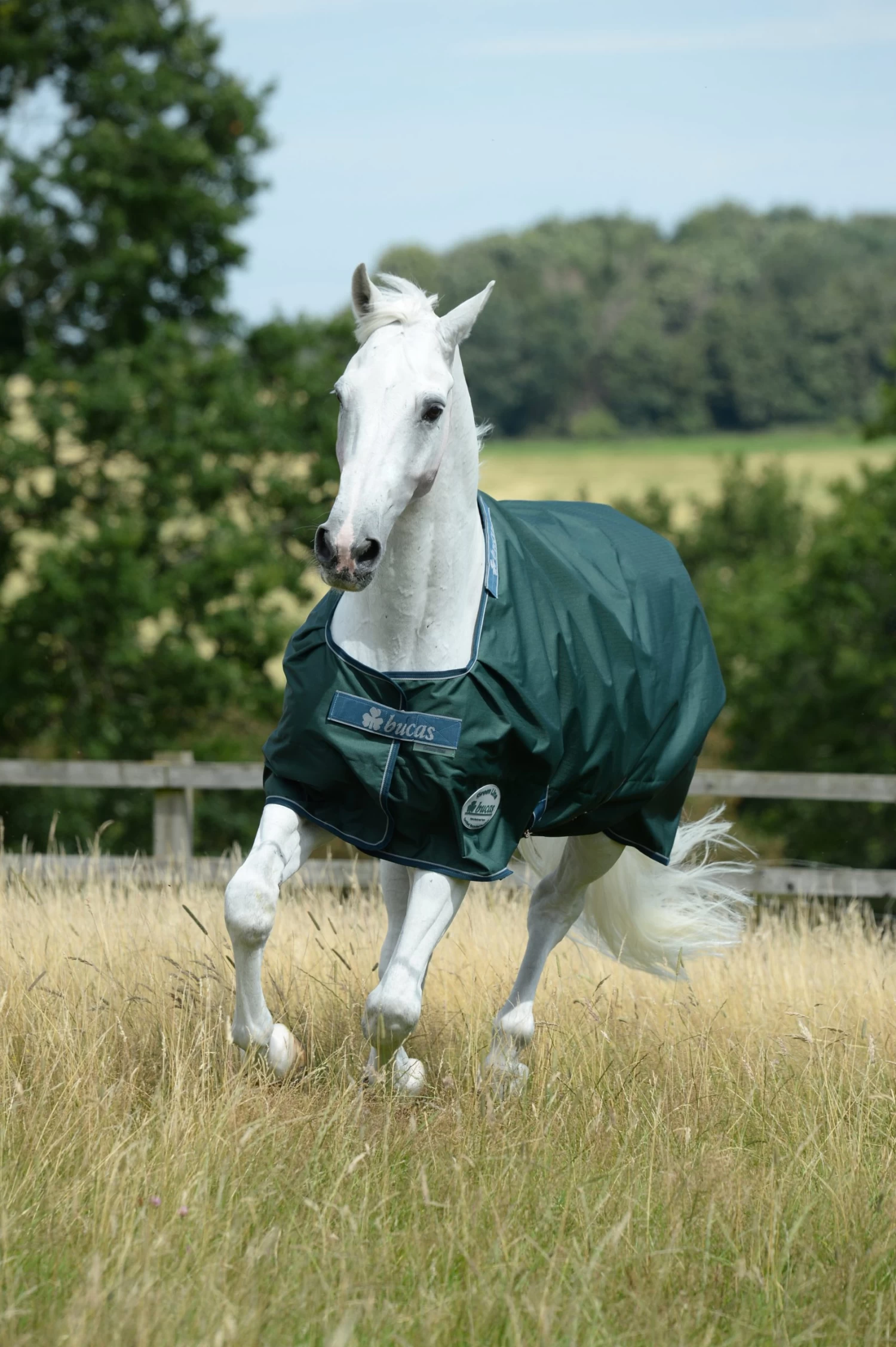 Green Light Turnout 100 Gr 3 Green Light Turnout 100 Gr