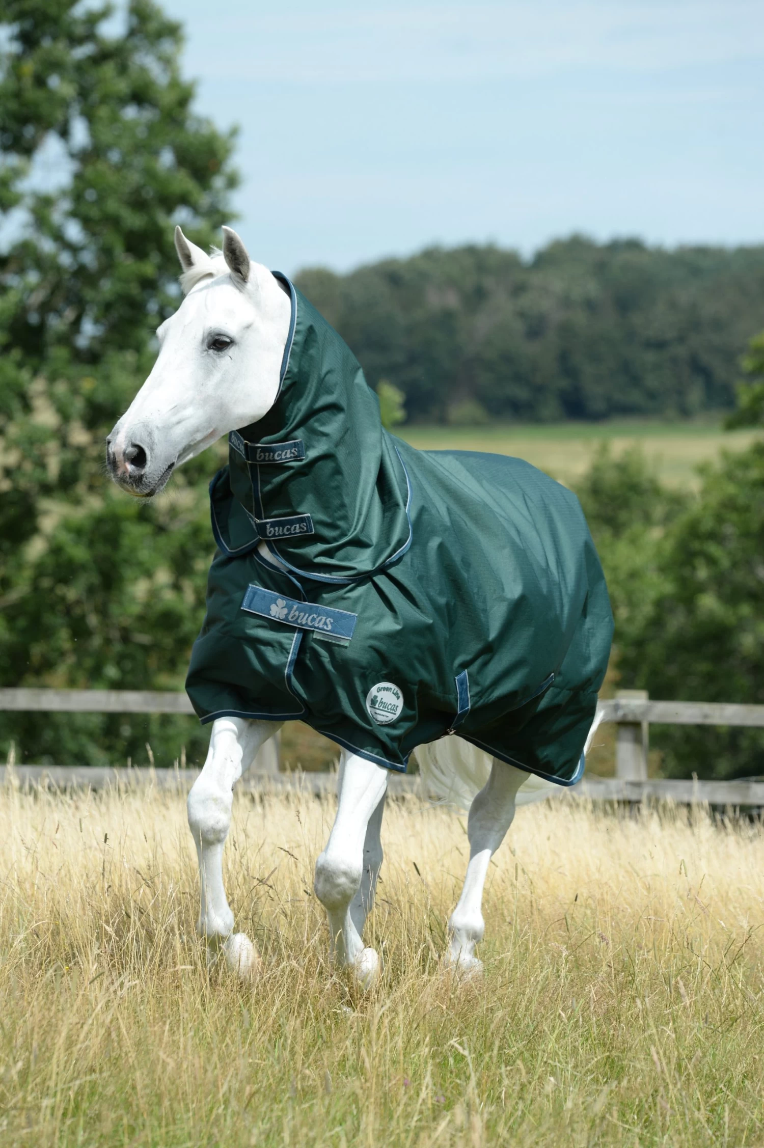 Green Line Combi Neck 4 Green Line Combi Neck - Image 2