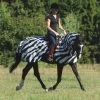 Buzz-Off Riding, Zebra -Horse Riding - Harness BU 560 3786