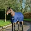 Freedom Stable 150 Gr - Navy -Horse Riding - Harness BU 641 62 1