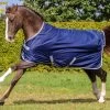 Freedom Turnout Light - Navy -Horse Riding - Harness BU 643 62