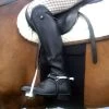 The Body Bandage 1 The Body Bandage -Horse Riding - Harness BodyBandage 4467