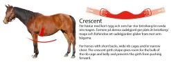 Saddle Girth Slim-Line Crescent - Customise -Horse Riding - Harness Crescent svenska engelska 2