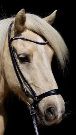 Browband Alisa - Black