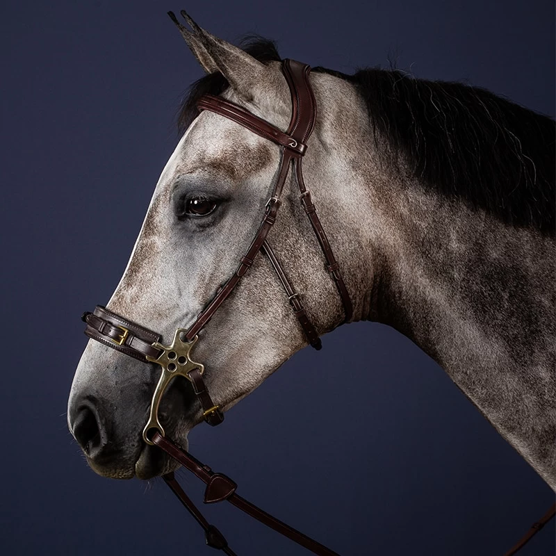 Hackamore Bridle - Black 4 Hackamore Bridle - Black - Image 2