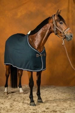 Honeycomb Cotton Sheet - Navy