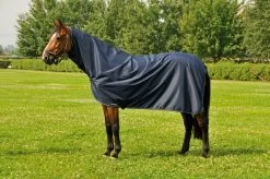 Corby Full Neck Waterproof Rain Sheet