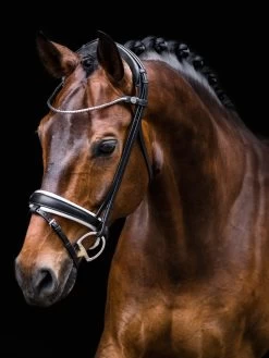 Finesse Flat Bridle Cayenne - Black/White
