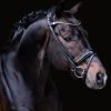 Finesse Bridle Himalaya Lacquered - Black -Horse Riding - Harness FM H BLKL 1
