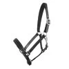 Classic Scandi Leather Halter - Black