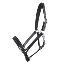 Horse Riding - Harness -Horse Riding - Harness HA 712015