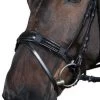 Muzzle Protector/Nose Net -Horse Riding - Harness HG 33762 mulskydd 3937