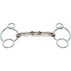 Universal Bit, Dynamic RS Sensogan