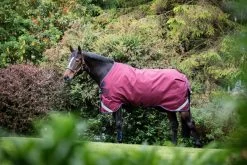 Rambo Orig T/O Lite L/A 0g