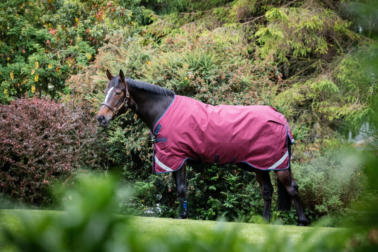 Rambo Orig T/O Lite L/A 0g 3 Rambo Orig T/O Lite L/A 0g