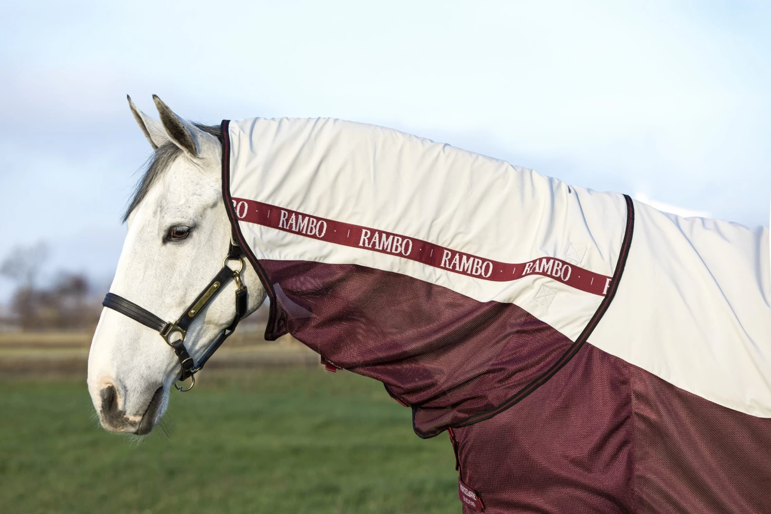 Rambo Summer Series DF - Grey/Burgundy 4 Rambo Summer Series DF - Grey/Burgundy - Image 2