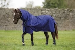 Amigo Hero 9 Plus-Lite-DF