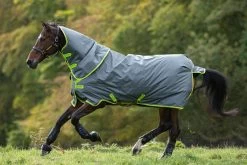 Amigo Hero 900 Plus DF - 100g