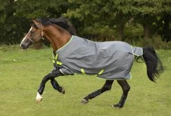 Amigo Hero 900 Lite DF - 0gr