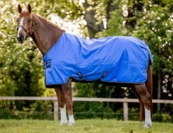 Amigo Hero Ripstop 50g - Blue