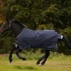 Amigo Bravo 12 Turnout Medium 250 G -Horse Riding - Harness HW AARA42 BCSK
