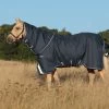 Amigo Bravo 12 Plus Lite - Navy/0g -Horse Riding - Harness HW AARP70 BCSK