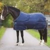 Amigo Insulator Heavy 350 G 1 Amigo Insulator Heavy 350 G -Horse Riding - Harness HW ABRA23 BBWO