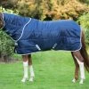 Amigo Insulator Med- Navy/200g -Horse Riding - Harness HW ABRD22 BI00