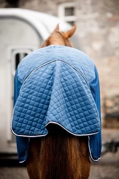 Rambo Travel Series - Navy -Horse Riding - Harness HW ACAGKX BBI0 3