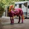Rambo Travel Series - Burgundy -Horse Riding - Harness HW ACAGKX QQGB