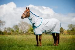 Amigo Aussie Allround Rug DF - Navy