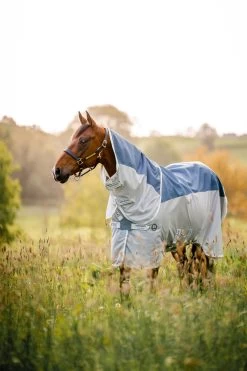 Amigo Ameco Combi - Teal