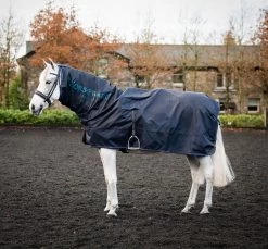 Mack In A Sack Rug - Navy/ Burgundy