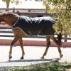 Amigo Walker Rug - 200 G -Horse Riding - Harness HW AGRW42