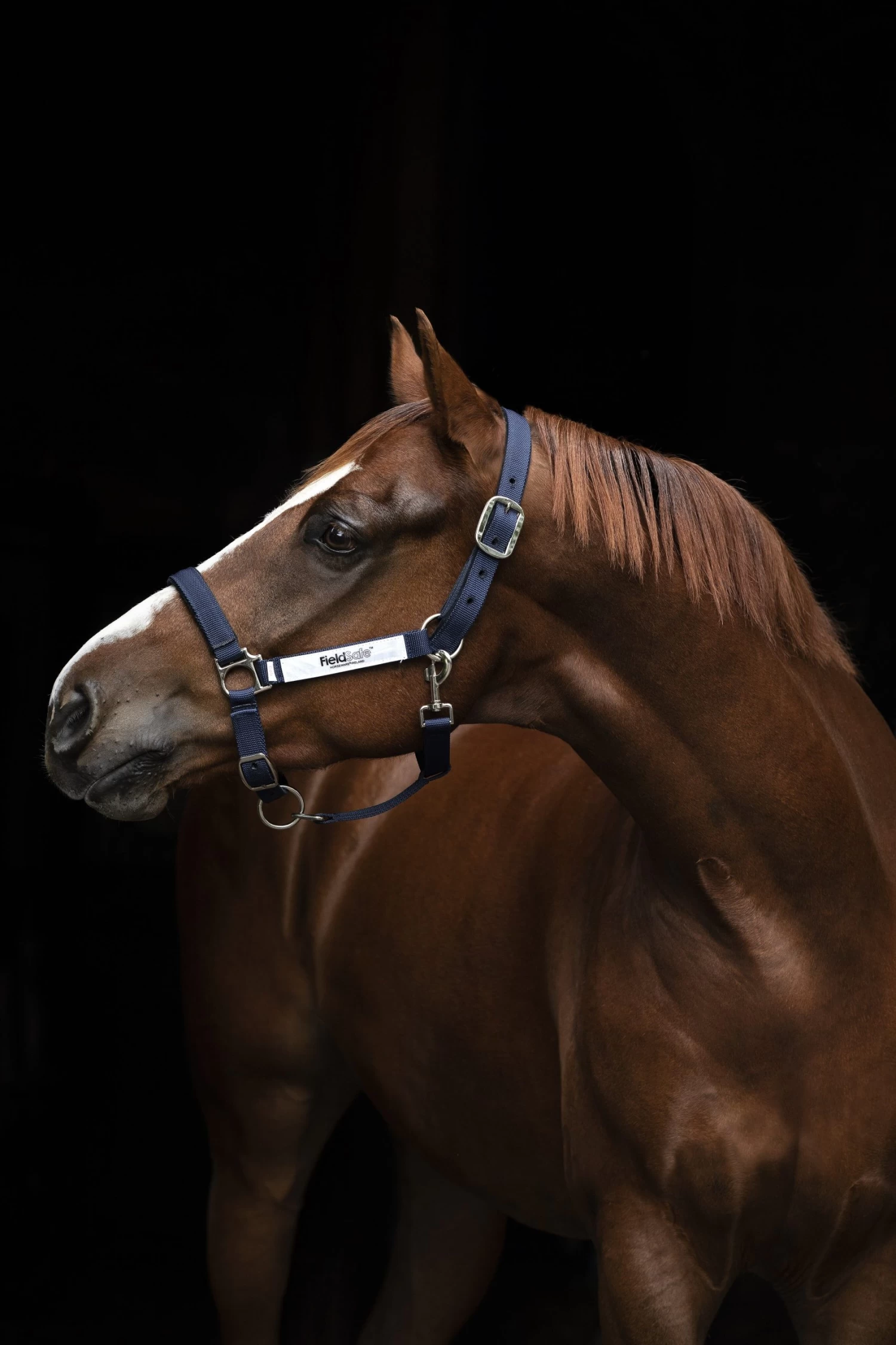 Field Safe Halter - Navy