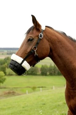 Muzzle Teddy Fleece -Horse Riding - Harness KB 322214 3